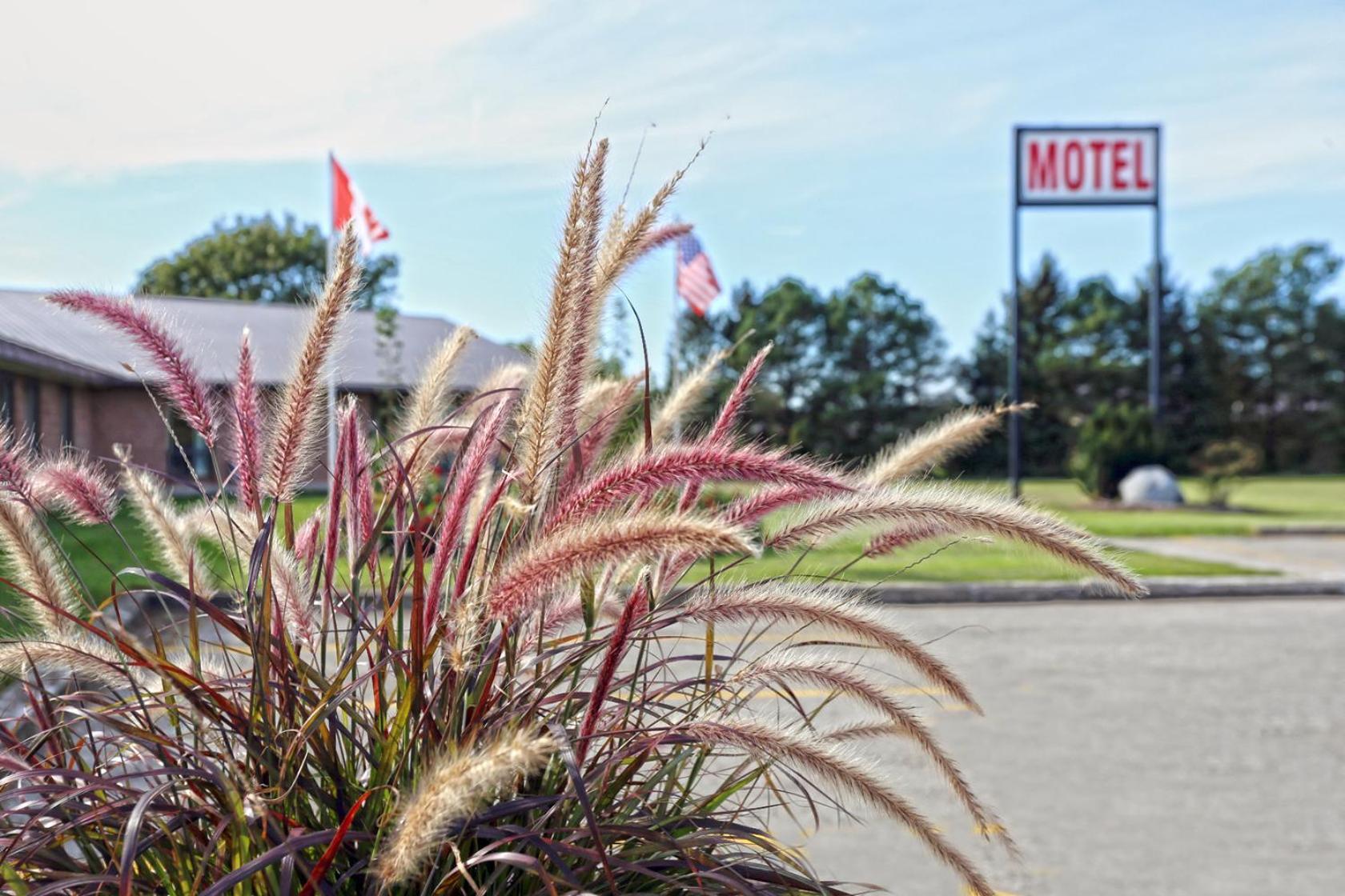 King Hotel Palmerston Zewnętrze zdjęcie